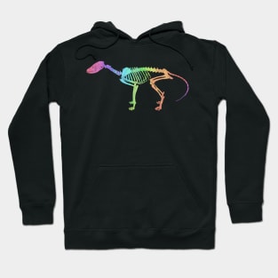 Fox Skeleton Rainbow Hoodie